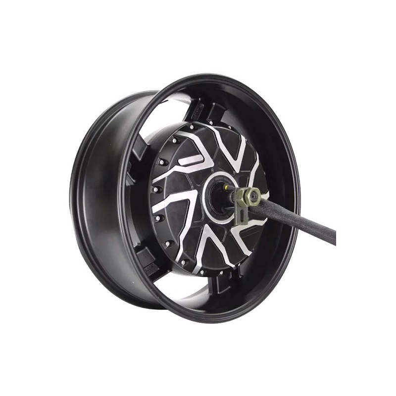 Kit di conversione motore elet - Qs Motor 273 8000W Hub Motor recensione e prezzo